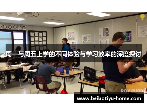 周一与周五上学的不同体验与学习效率的深度探讨